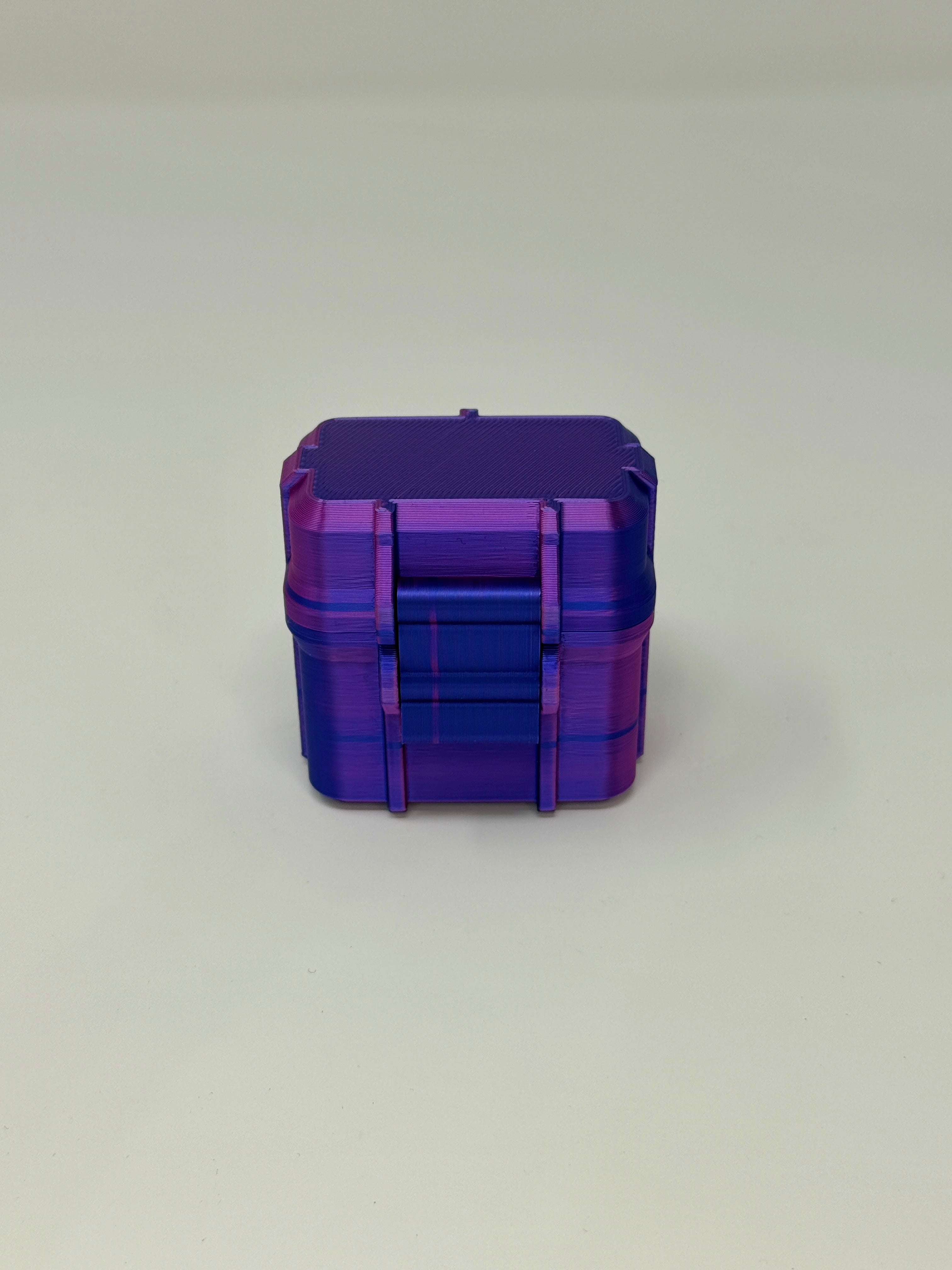 2-Vial 10mL Vial Vault Case | Hard-Shell Hinged | Travel-Ready Peptide Storage