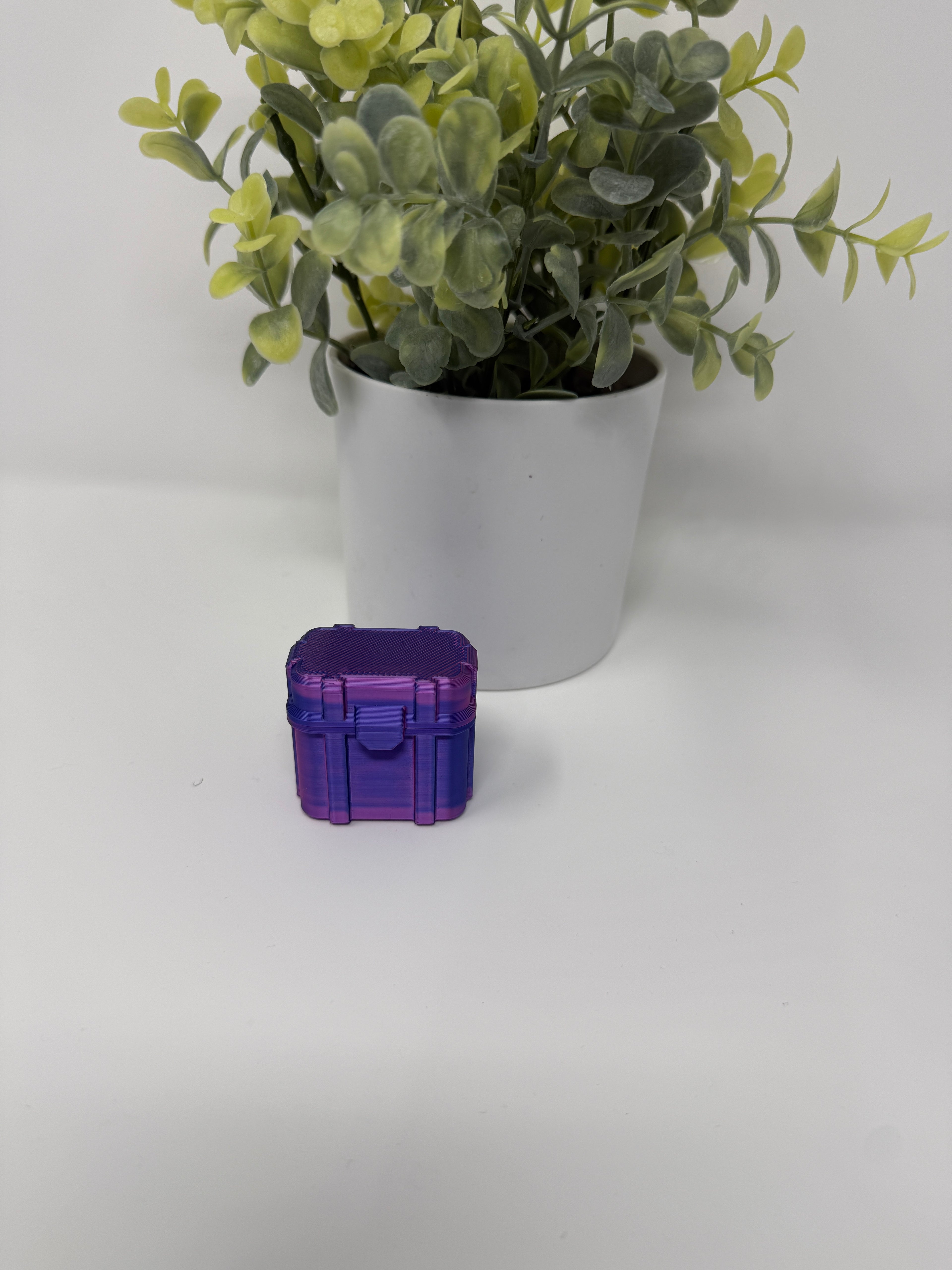 Vial Locker 2 Vial 3ml Case | Secure Locking Vial Storage for GLP-1, Peptides, Research by Vial Lock